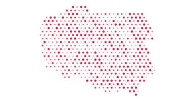 Pulsing Digital Poland Haritalama Canlandırması