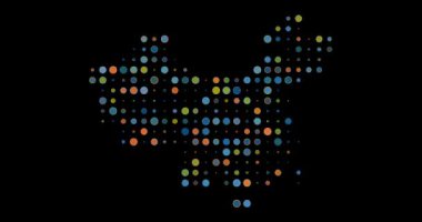 Çin 'in Geleceği Ağ Haritası