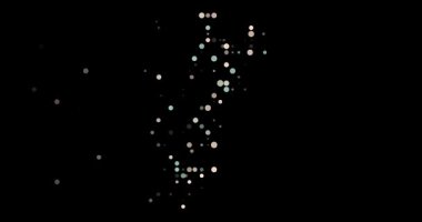 Düşen Parçacıklar Portekiz Özeti