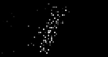 Düşen Parçacıklar Portekiz Özeti