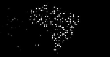 Puantiyeli Üretici Brezilya Özeti