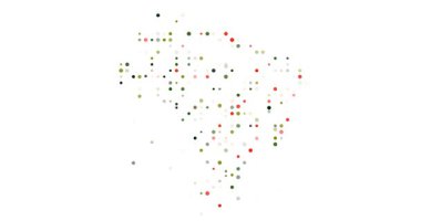 Puantiyeli Üretici Brezilya Özeti