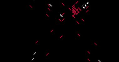 Japonya Izgara Labirenti Haritası