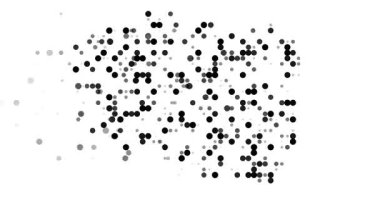 Polonya 'nın Üretici Parçacık Haritası Animasyonu