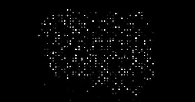 Parlak Nokta Izgara Polonya Haritasını İnşa Etti