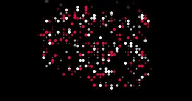 Polonya 'nın Üretici Parçacık Haritası Animasyonu