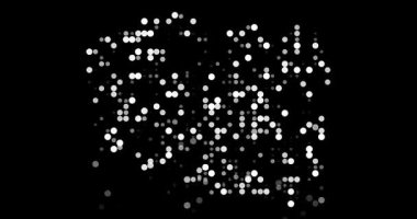 Düşen Noktalar Polonya Sınırlarının Canlandırılması