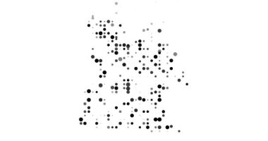 Angola, Noktalar Yağmuru Tarafından Kuruldu