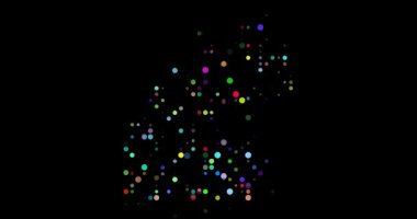 Veri Sürücü Biçimli Cibuti Özeti