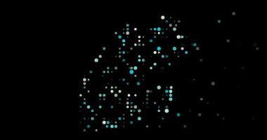 Veri Sürücü Biçimli Cibuti Özeti