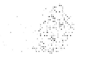 Uçan parçacıklar Mauritius haritasının ana hatlarını oluşturur