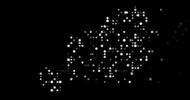 Nijer Özetini Şekillendiren Dinamik Parçacıklar