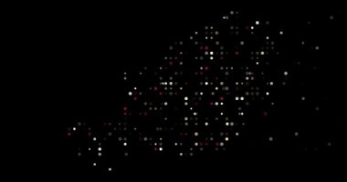 Nijer 'in dairesel sürüsü ile verimli geometri haritası