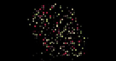 Canlı Parçacıklar Yeniden Buluşma Özeti Oluşturuyor