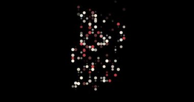 Çember Hareketli Üretici Dijital Çad Haritası