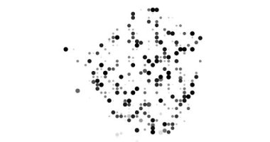 Çemberli Zimbabwe Harita Hareketi
