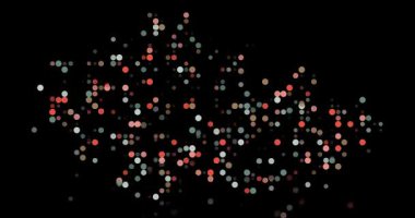 Dynamic Post-Conceptual Formation of Czech Republic Map Using Flying Circles