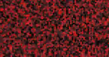 Generative Art Hexagonal Grid Background