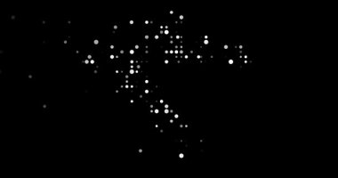 Emergent Generative Circles Creating Croatia Silhouette