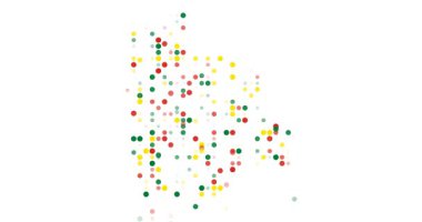 Fiscal Flamingo Frontier: Orbs Orbit the Bolivia's Saline Flowing Form