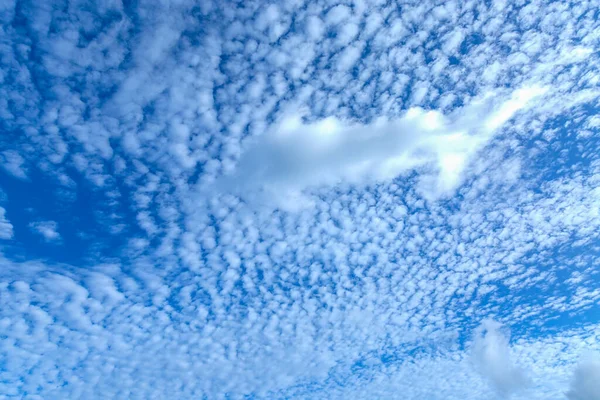 Blauer Himmel Mit Kumulus Und Flauschigen Wolken Während Der Sommersaison — Stockfoto