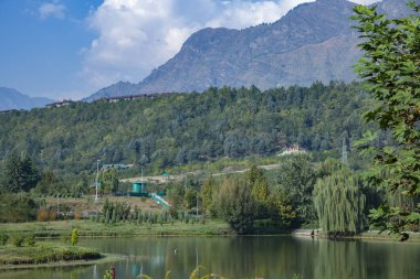 Jawaharlal Nehru Anıt Bahçeleri Srinagar, Jammu Kashmir, Hindistan