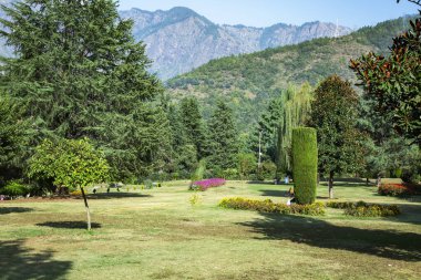 Jawaharlal Nehru Anıt Bahçeleri Srinagar, Jammu Kashmir, Hindistan