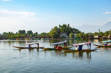 Shikara, Srinagar 'daki Dale Gölü' nde, Jammu Kashmir, Hindistan