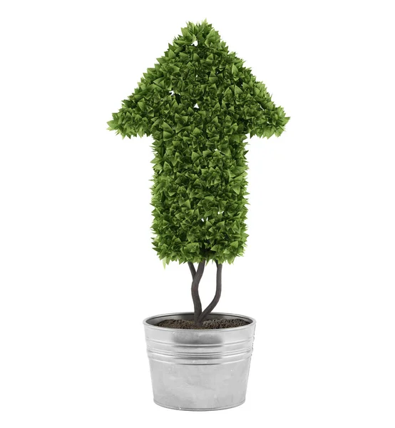 Plant Cut Shape Arrow Concept Success Improvements Render —  Fotos de Stock