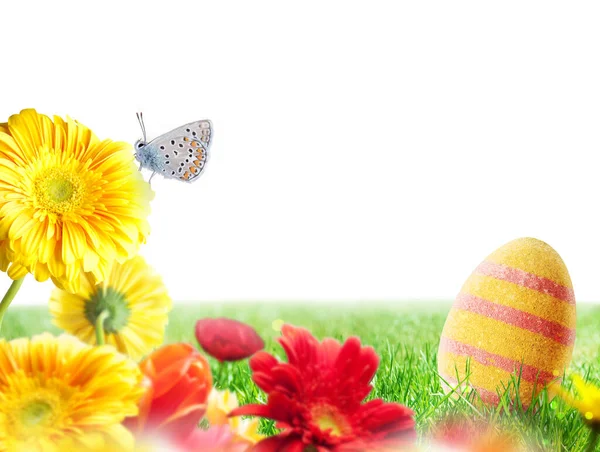 Easter Decorations Eggs Green Field — Stock Photo, Image