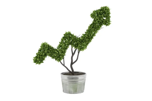 Pflanze Form Eines Pfeils Geschnitten Konzept Von Erfolg Und Verbesserungen — Stockfoto