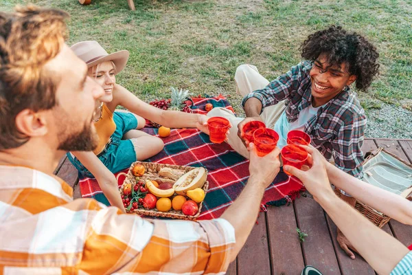 Grupa Przyjaciół Organizuje Piknik Świeżym Powietrzu Gorący Dzień — Zdjęcie stockowe