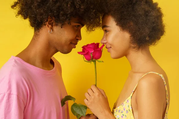 Pasangan Romantis Dengan Mawar Untuk Hari Kasih Sayang — Stok Foto