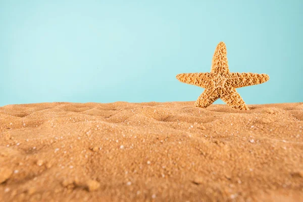 Background Starfish Golden Beach — 图库照片