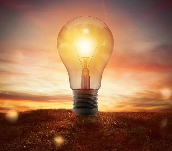 Big Lightbulb Field Sunset — Stock Photo, Image