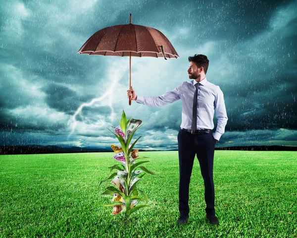 Mann Deckt Geldbaum Mit Regenschirm — Stockfoto