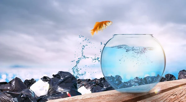 魚は汚染された水から水をきれいにするためにジャンプします ロイヤリティフリーのストック写真