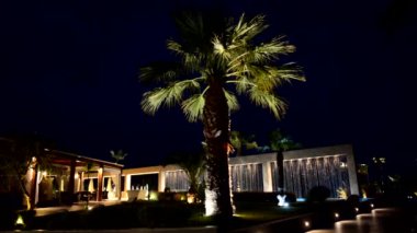 Lüks otel Halkidiki, Yunanistan 'da gece aydınlığında palmiye ağacı