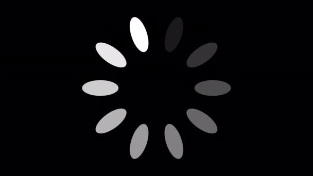 Loading Circle Video Načítání Ikony Animace Průhledném Pozadí Download Progress — Stock video