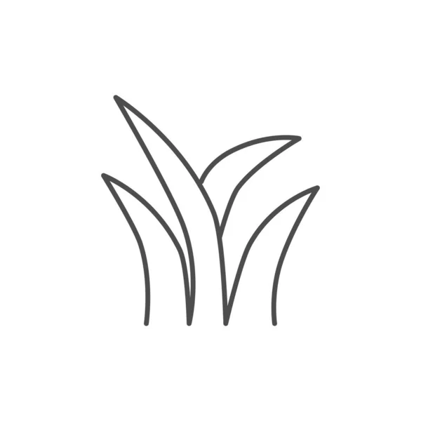 与草相关的矢量线形图标 茂密的草丛Nassella Tenuissima 罚款需要的草 矢量轮廓在白色背景上孤立 可编辑笔划 — 图库矢量图片