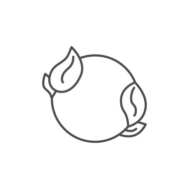 Yaprakla ilgili vektör doğrusal simgesi. Beyaz arkaplanda izole edilmiş vektör çizgisi çizimi. Düzenlenebilir vuruş