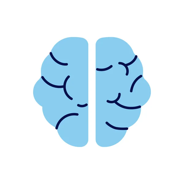 Icono Vector Cerebro Humano Aislado Fondo Blanco Archivo Eps Editable — Archivo Imágenes Vectoriales