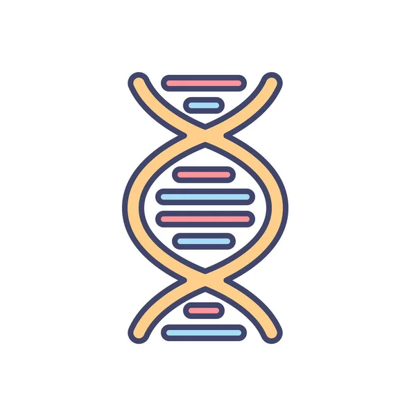 Dna相关的向量线图标 Dna螺旋线图标 脱氧核糖核酸 核酸结构 染色体 分子生物学 遗传密码被白色背景隔离 矢量图解 可编辑笔划 — 图库矢量图片