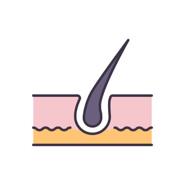 Saç Ilgili vector Line simgesi. Beyaz arka planda yalıtılmış. Düzenlenebilir kontur