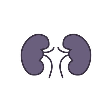 Böbrek Vektörü Simgesi. Beyaz Arka plan 'da izole edilmiş. Düzenlenebilir EPS dosyası. Vektör illüstrasyonu