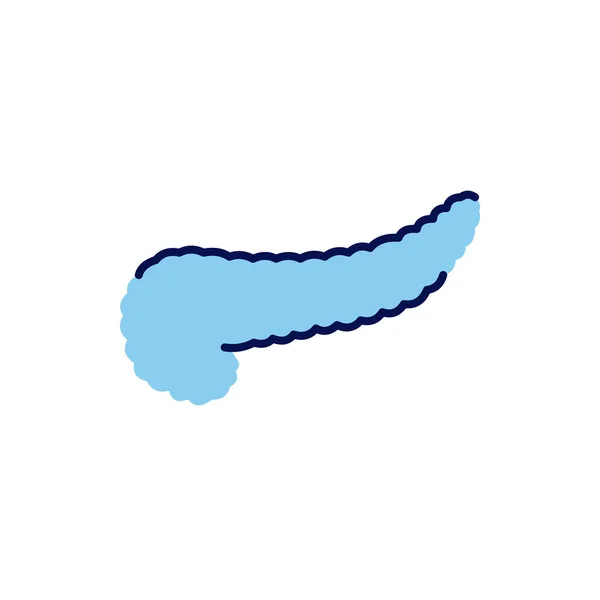 Pancreas Related Vector Line Icon Isolado Fundo Branco Curso Editável — Vetor de Stock