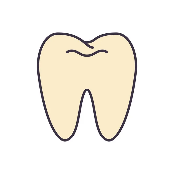 牙齿向量Icon 牙齿签名 被白色背景隔离 矢量说明 — 图库矢量图片