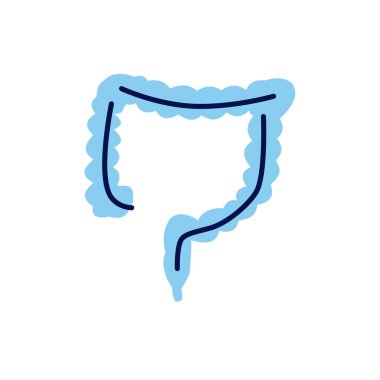 Bağırsak Ilgili vektör çizgi simgesi. Beyaz arka planda yalıtılmış. Düzenlenebilir kontur