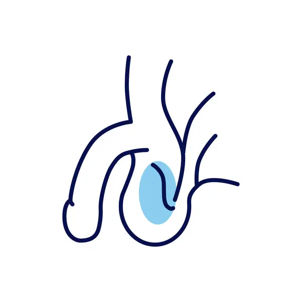 Sistema Reproductivo Masculino Related Vector Line Icon Aislado Sobre Fondo — Vector de stock