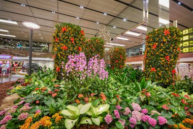 SINGAPORE - CIRCA JANUARY, 2020: Singapur Changi Uluslararası Havaalanı 'nın iç çekimleri.